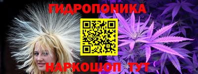 spice Дубна