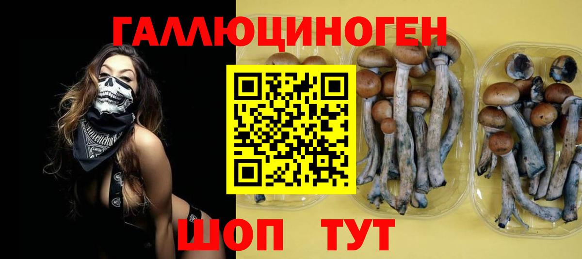 Мирный  Галлюциногенные грибы Cubensis  Вход с VPN 