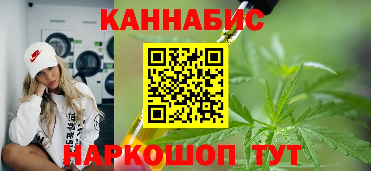 Канабис планчик Мирный